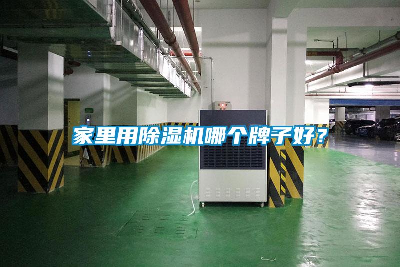 家里用麻豆视频黄网站哪个牌子好？