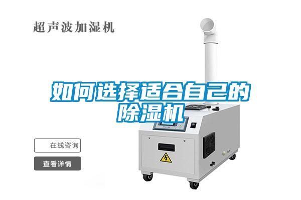 如何选择适合自己的麻豆视频黄网站