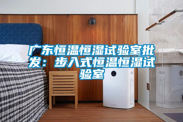 广东恒温恒湿试验室批发：步入式恒温恒湿试验室