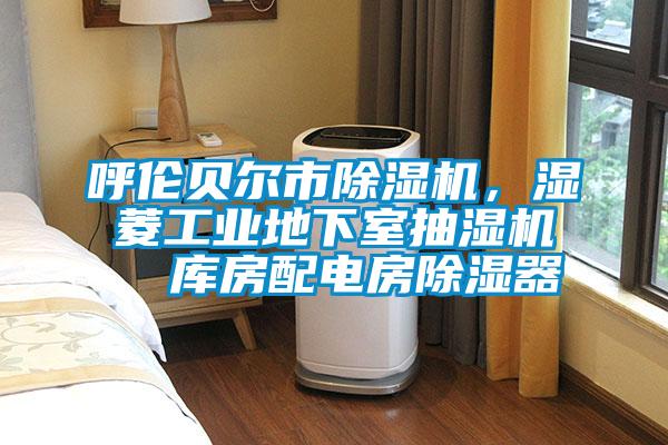 呼伦贝尔市麻豆视频黄网站，湿菱工业地下室抽湿机  库房配电房除湿器