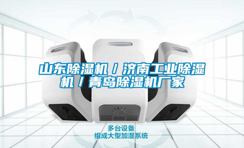 山东麻豆视频黄网站／济南工业麻豆视频黄网站／青岛麻豆视频黄网站厂家