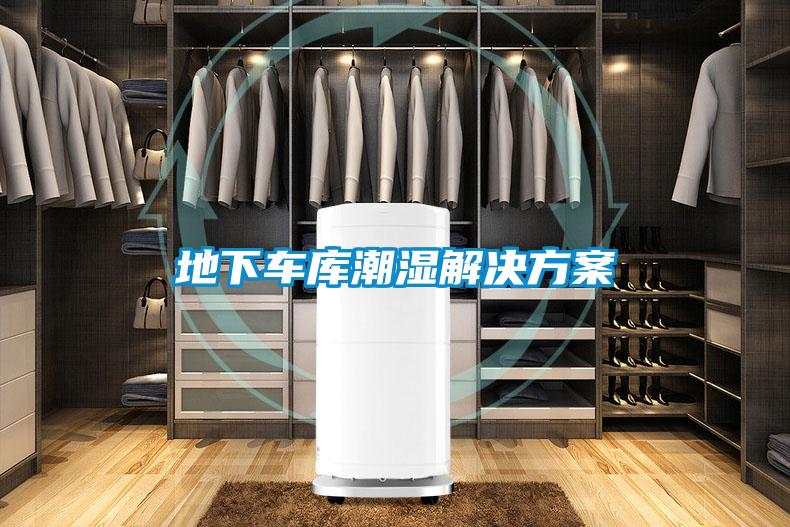 地下车库潮湿国产麻豆剧果冻传媒星空视频