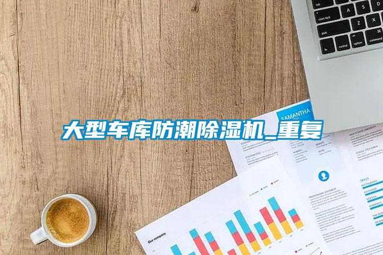 大型车库防潮麻豆视频黄网站_重复