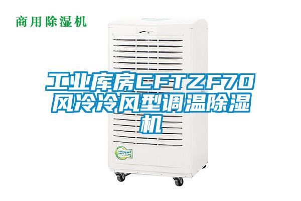 工业库房CFTZF70风冷冷风型调温麻豆视频黄网站
