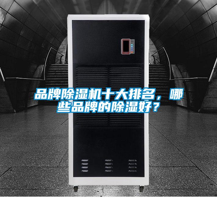 品牌麻豆视频黄网站十大排名，哪些品牌的除湿好？
