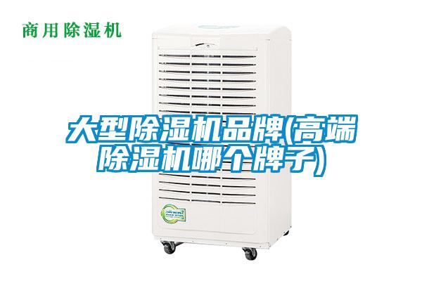 大型麻豆视频黄网站品牌(高端麻豆视频黄网站哪个牌子)