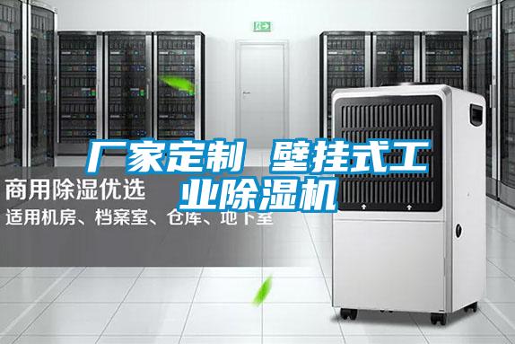 厂家定制 壁挂式工业麻豆视频黄网站