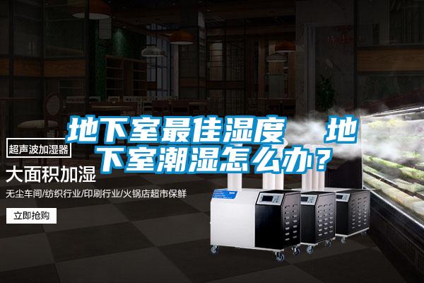 地下室最佳湿度  地下室潮湿怎么办？