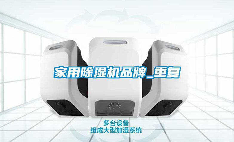 家用麻豆视频黄网站品牌_重复