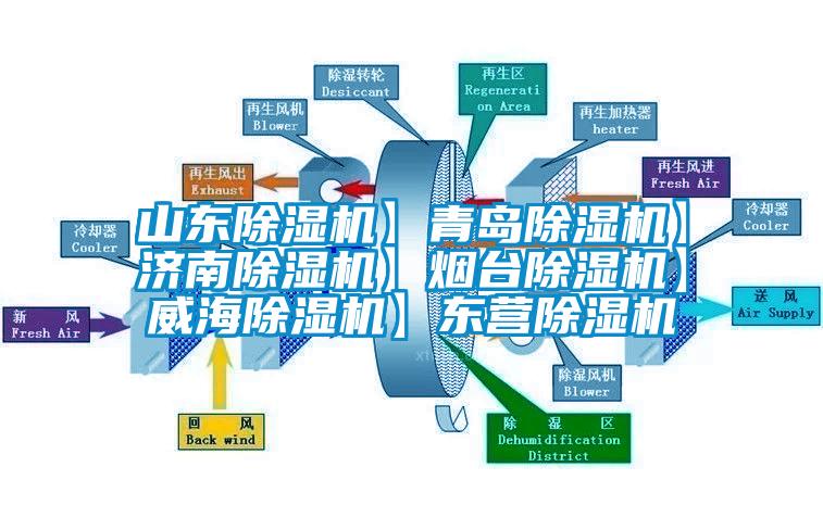 山东麻豆视频黄网站】青岛麻豆视频黄网站】济南麻豆视频黄网站】烟台麻豆视频黄网站】威海麻豆视频黄网站】东营麻豆视频黄网站
