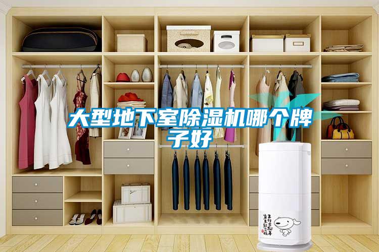 大型地下室麻豆视频黄网站哪个牌子好