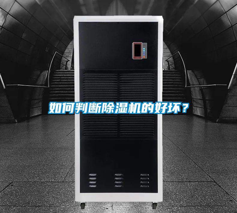 如何判断麻豆视频黄网站的好坏？
