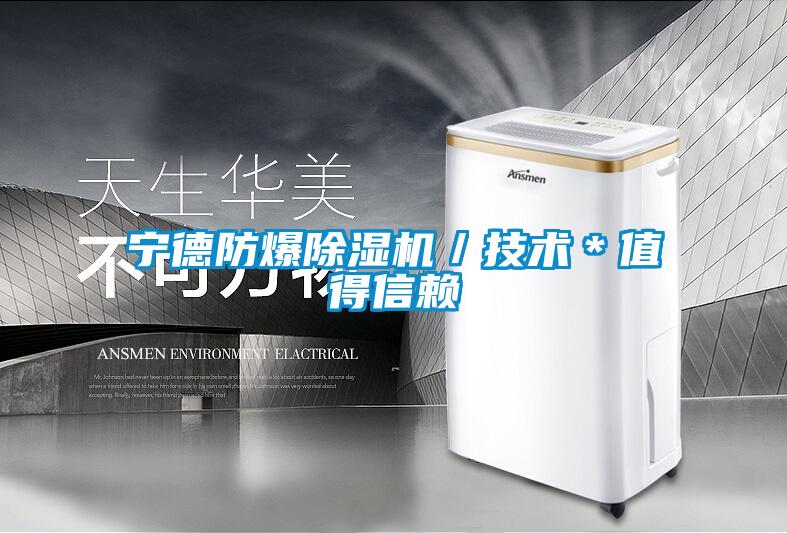 宁德防爆麻豆视频黄网站／技术＊值得信赖