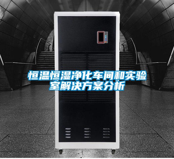 恒温恒湿净化车间和实验室国产麻豆剧果冻传媒星空视频分析