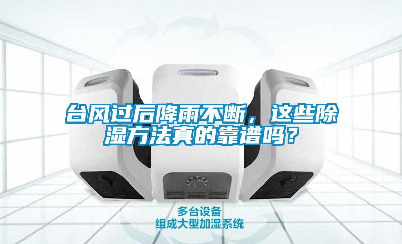台风过后降雨不断，这些除湿方法真的靠谱吗？