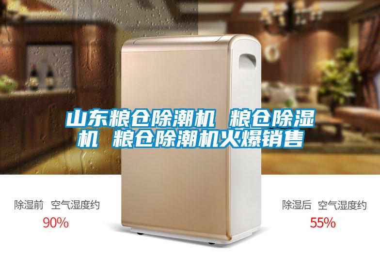 山东粮仓除潮机 粮仓麻豆视频黄网站 粮仓除潮机火爆销售