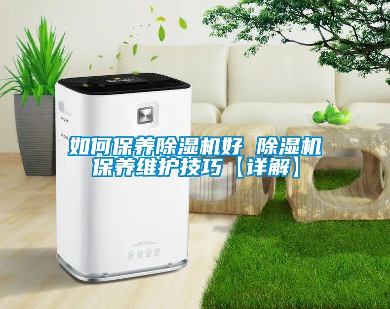 如何保养麻豆视频黄网站好 麻豆视频黄网站保养维护技巧【详解】