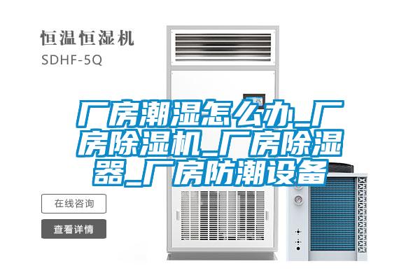 厂房潮湿怎么办_厂房麻豆视频黄网站_厂房除湿器_厂房防潮设备