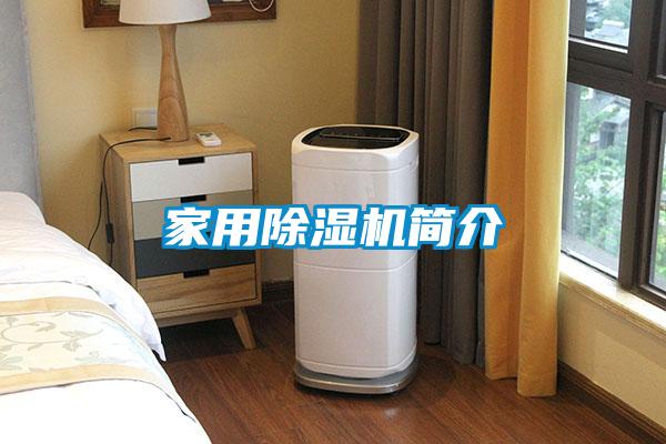 家用麻豆视频黄网站简介