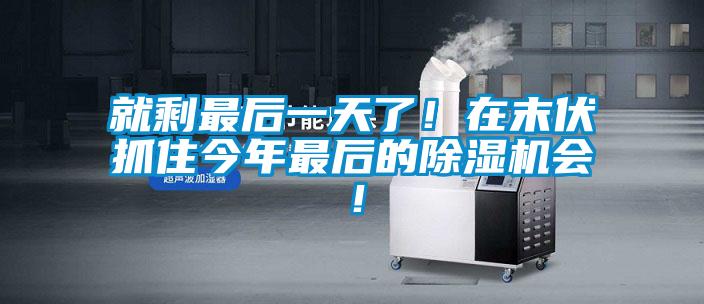 就剩最后一天了！在末伏抓住今年最后的麻豆视频黄网站会！