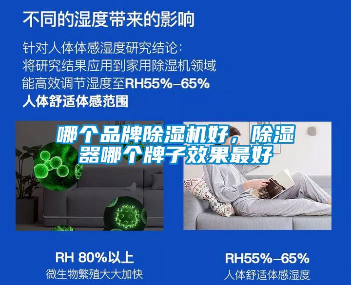 哪个品牌麻豆视频黄网站好，除湿器哪个牌子效果最好