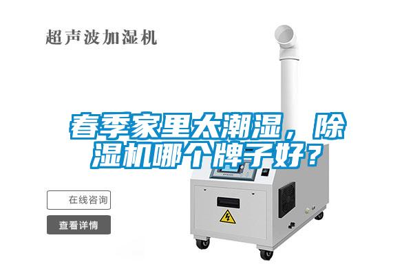 春季家里太潮湿，麻豆视频黄网站哪个牌子好？