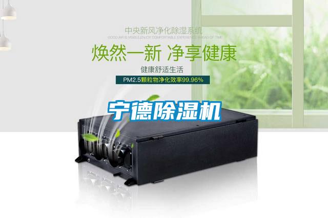 宁德麻豆视频黄网站