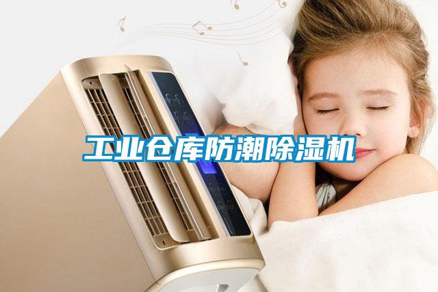 工业仓库防潮麻豆视频黄网站