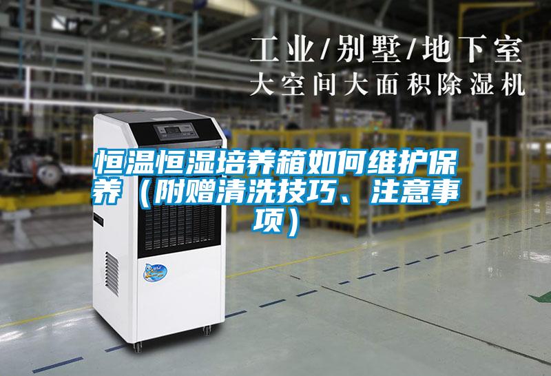 恒温恒湿培养箱如何维护保养（附赠清洗技巧、注意事项）