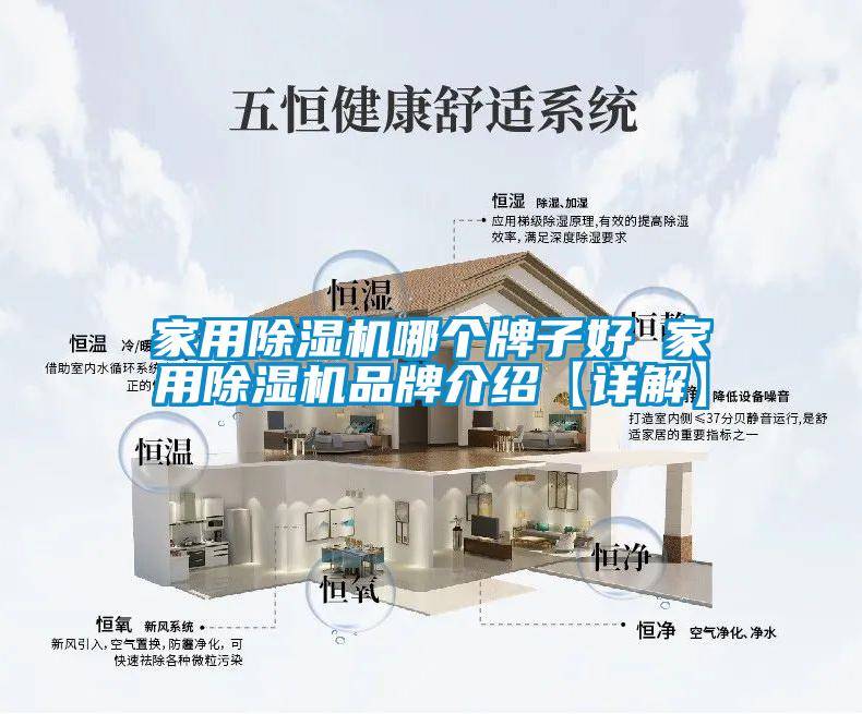 家用麻豆视频黄网站哪个牌子好 家用麻豆视频黄网站品牌介绍【详解】