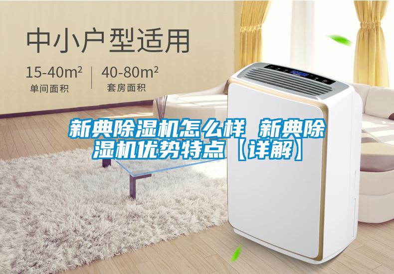 新典麻豆视频黄网站怎么样 新典麻豆视频黄网站优势特点【详解】