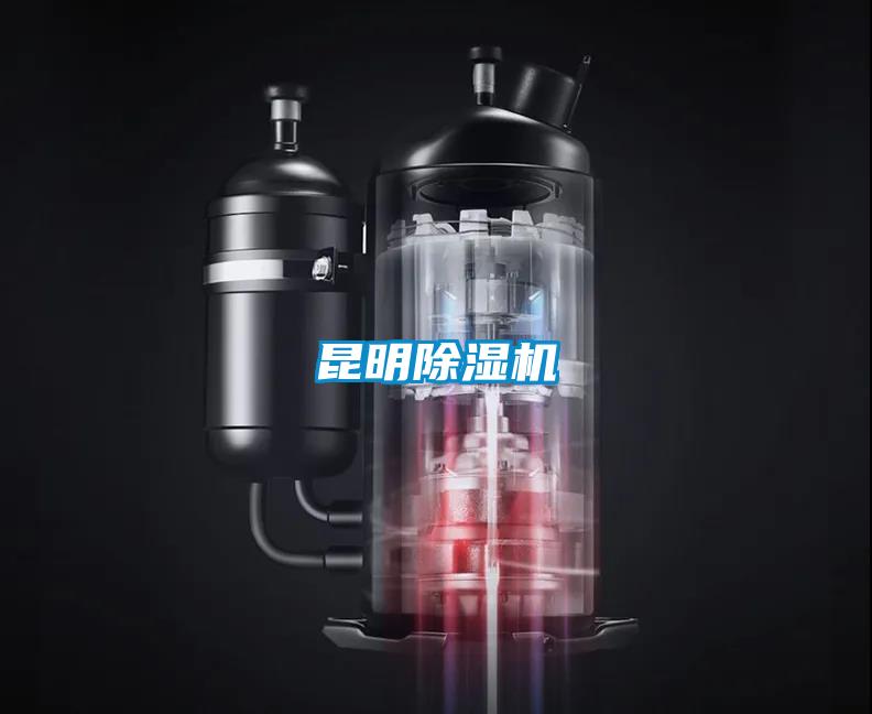 昆明麻豆视频黄网站