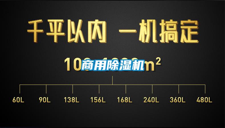 商用麻豆视频黄网站