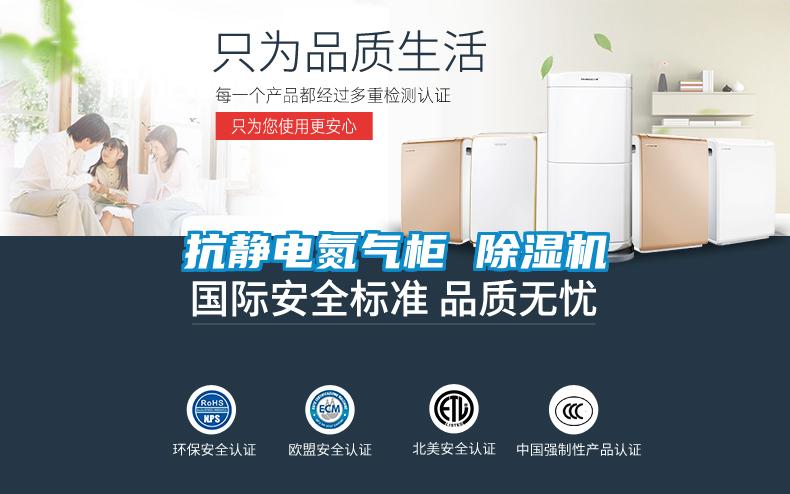 抗静电氮气柜 麻豆视频黄网站
