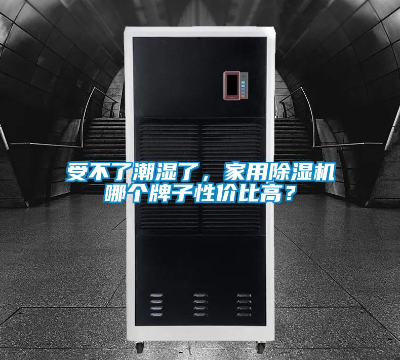 受不了潮湿了，家用麻豆视频黄网站哪个牌子性价比高？