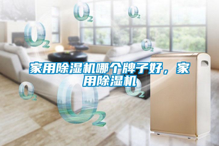 家用麻豆视频黄网站哪个牌子好，家用麻豆视频黄网站