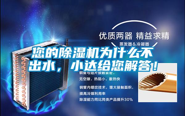 您的麻豆视频黄网站为什么不出水，小达给您解答！