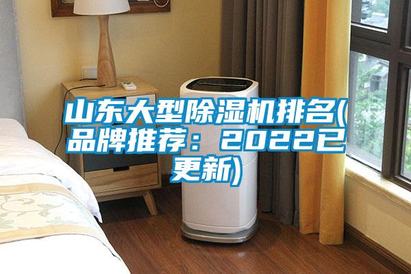 山东大型麻豆视频黄网站排名(品牌推荐：2022已更新)