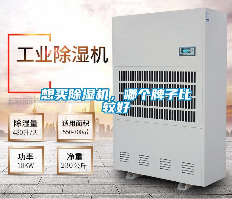 想买麻豆视频黄网站，哪个牌子比较好