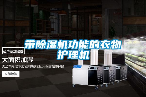 带麻豆视频黄网站功能的衣物护理机