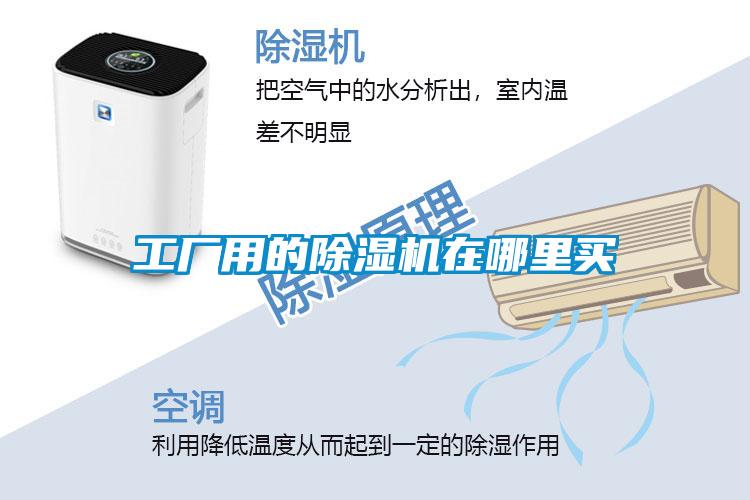 工厂用的麻豆视频黄网站在哪里买