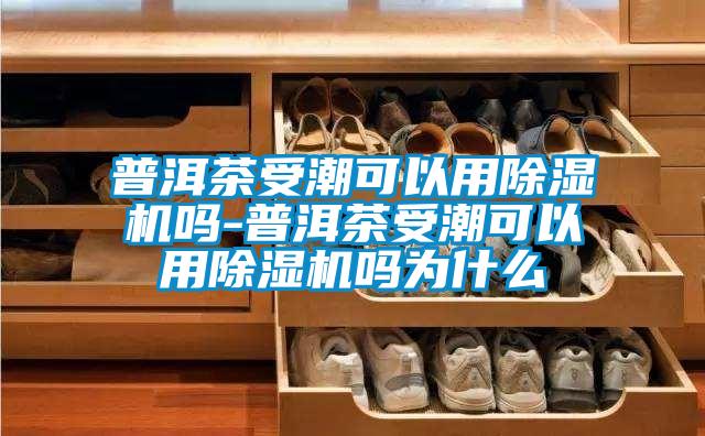 普洱茶受潮可以用麻豆视频黄网站吗-普洱茶受潮可以用麻豆视频黄网站吗为什么