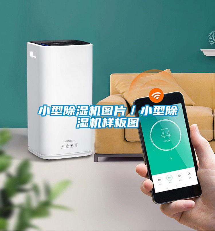 小型麻豆视频黄网站图片／小型麻豆视频黄网站样板图