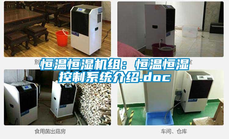 恒温恒湿机组：恒温恒湿控制系统介绍.doc