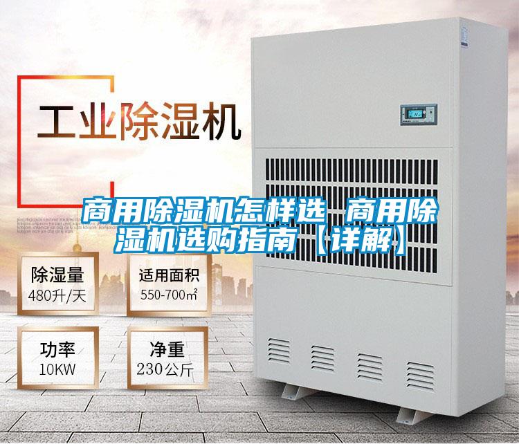商用麻豆视频黄网站怎样选 商用麻豆视频黄网站选购指南【详解】