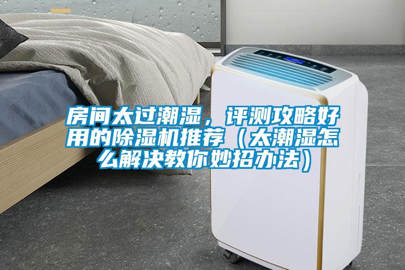 房间太过潮湿，评测攻略好用的麻豆视频黄网站推荐（太潮湿怎么解决教你妙招办法）