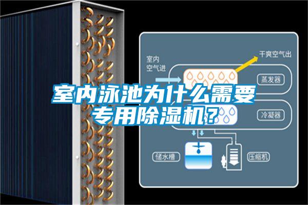 室内泳池为什么需要专用麻豆视频黄网站？
