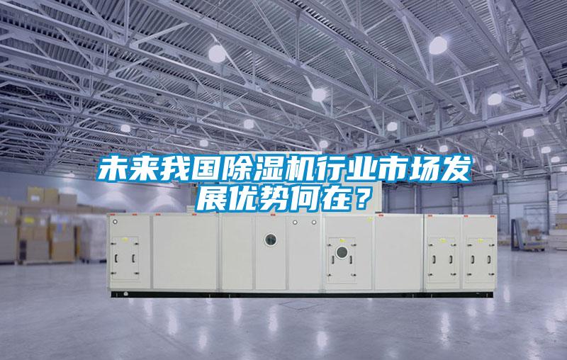 未来我国麻豆视频黄网站行业市场发展优势何在？