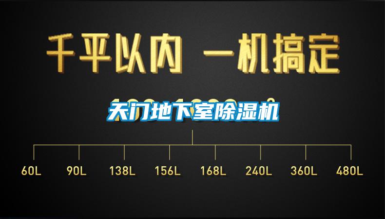 天门地下室麻豆视频黄网站