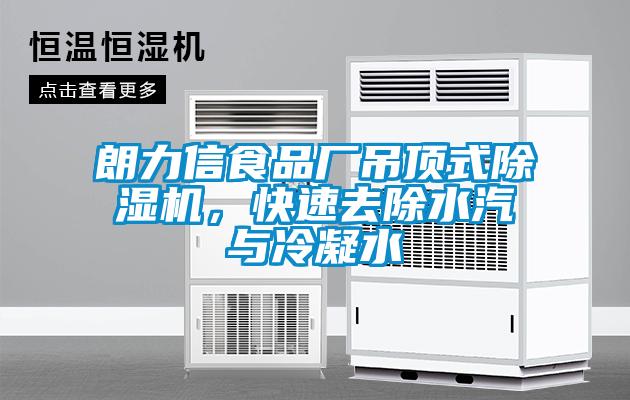 朗力信食品厂吊顶式麻豆视频黄网站，快速去除水汽与冷凝水